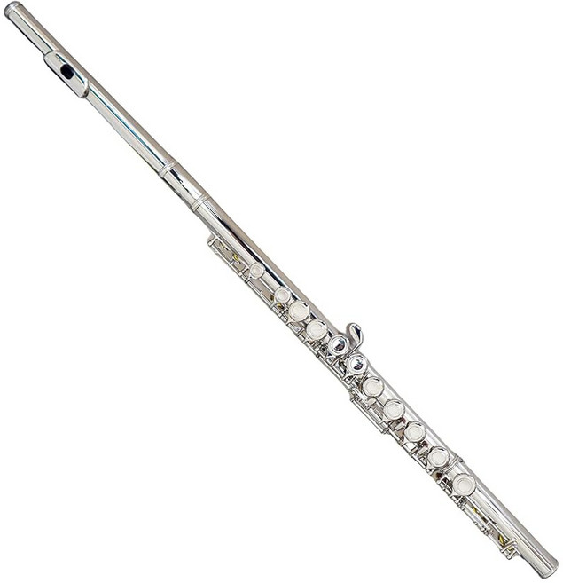 청소 키트 휴대용 케이스 장갑 튜닝봉이 있는 초보 학생용 플루트 악기용 딜 트 C 밀폐 홀 16개 키 니켈 도금 DFL 101, Ni el Plated