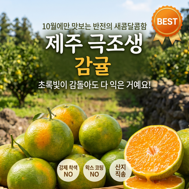 강제착색없는 첫수확 노지 햇 감귤 극조생 프리미엄 산지직송 로얄과, 1개, 3kg(로얄과)
