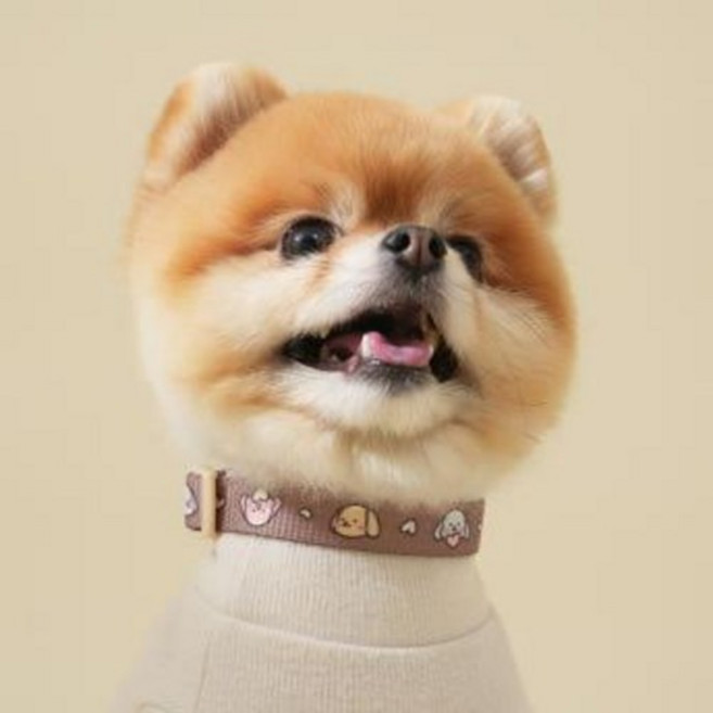 [힛찌 패턴 목줄 SET] 목줄(S)+리드줄+목쿠션 세트, 브라운, 민트, 브라운, 1