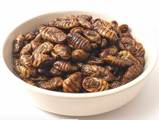 농부번데기 깨끗한 무첨가 번데기 4kg 고단백 영양 간식 식단관리 (무색소 신선포장), 1개