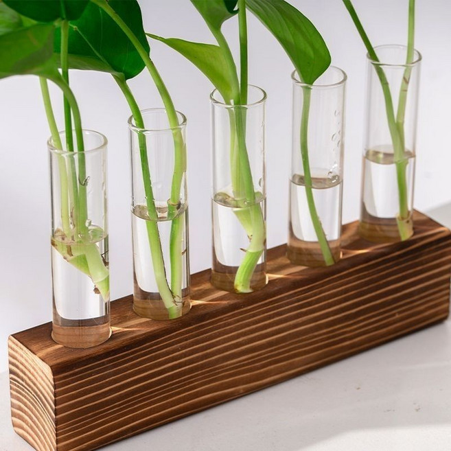 簡約水培花瓶試管 水養綠植插花植物容器 木架臺麵裝飾玻璃花插擺件 綠蘿玻璃容器辦公室內桌麵綠植現代擺件裝飾-創意水培瓶-迷你水, 兩孔木塊+試管