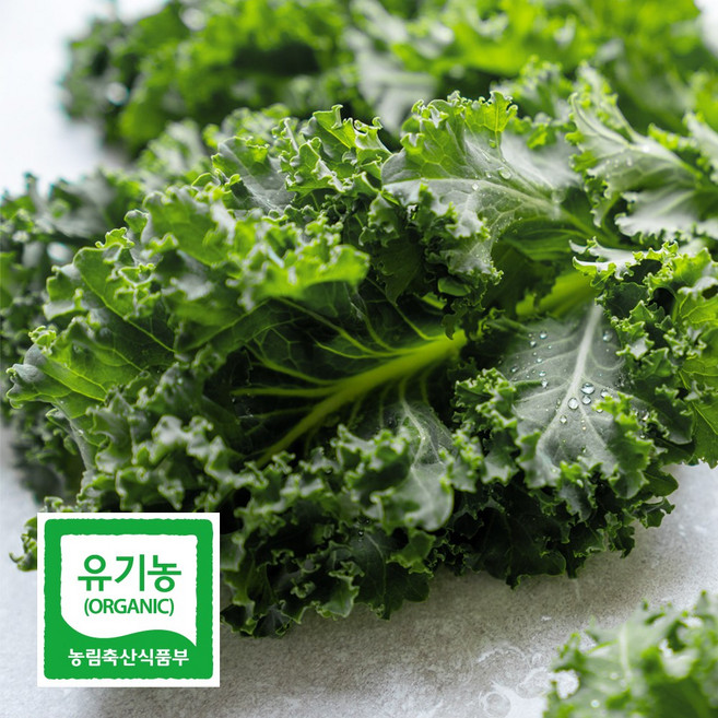 린디 국내산 유기농 곱슬케일 컬리케일 무농약 녹즙재료 케일주스 쌈채소 잎채소, 1박스, 3kg
