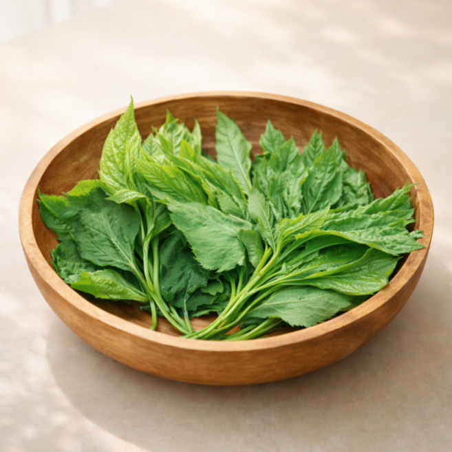 [노지재배] 국산 자연산 취나물 생취나물, 1개, 4kg