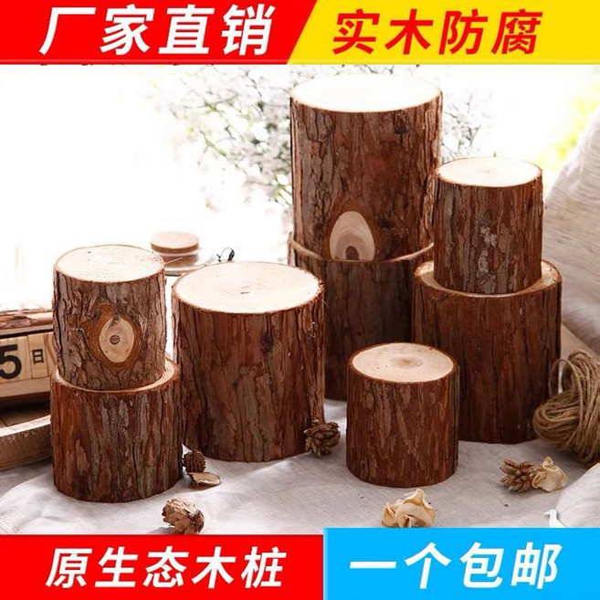 小木樁底座擺件樹樁樹幹原木頭杉樹攝影拍照園藝木柱木墩裝飾道具
