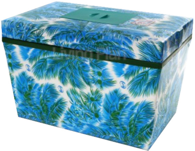 리빙플랜 스티로폼 아이스박스2호 아이스박스 왕왕대 145L 업소용, 야자수색상(2호), 1개