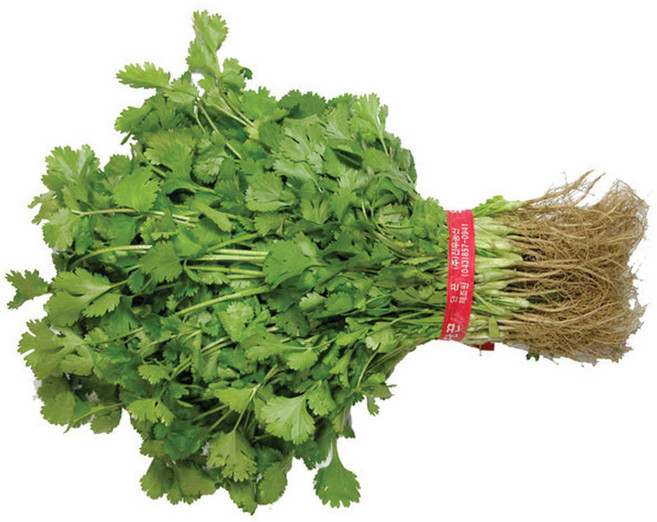 산정마을 싱싱한 고수 고수나물, 1단, 고수 1단(300g내외)