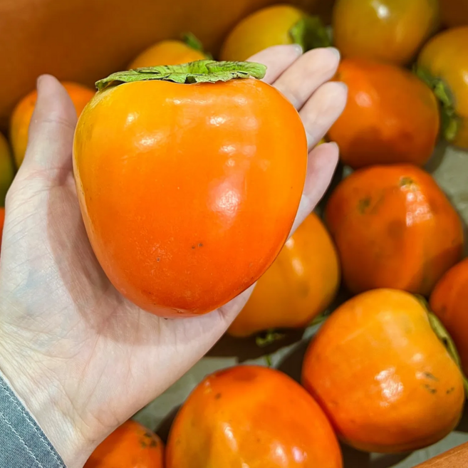 [초특가할인] 대봉감 햇 대봉감 국내산 대봉홍시, 1개, 대봉감 10kg (못난이 랜덤과)