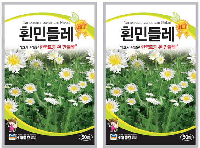 흰민들레 씨앗 50립 꽃씨앗 세계종묘 모칸도, 2개
