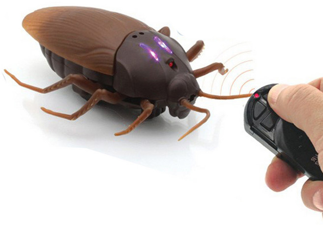 반디 자이언트 바퀴벌레 RC, 1개