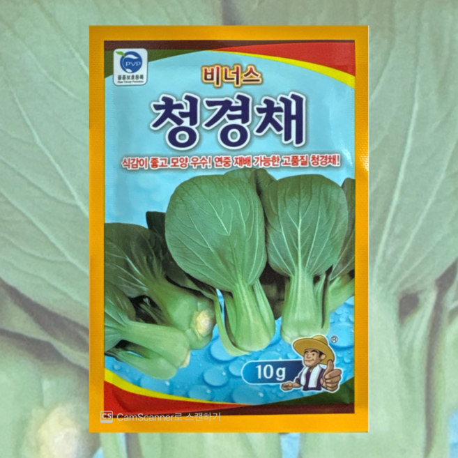 비너스 청경채 씨앗 10g 10+1봉 26년포장 연중재배 고급 청경채 종자