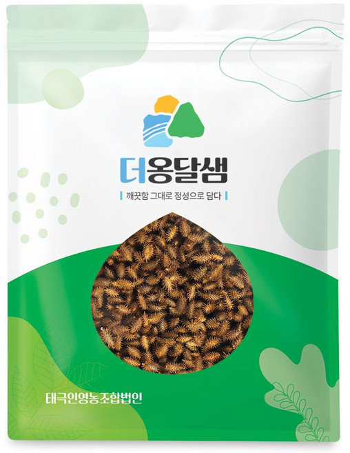 더옹달샘 국산 볶은 도꼬마리 500g 창이자 독고마리, 1개