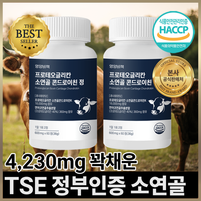 영양비책 프로테오글리칸 소연골 콘드로이친 정, 2개, 60정