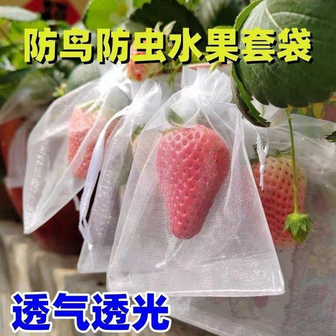 防蟲防鳥網袋 草莓水果透氣專用袋, 1個, 高品質：透光透氣+反覆使用 寬9cm長1,6代升級裝：瓜果防蟲袋 30個