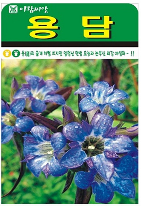 용담 꽃씨앗1000립 아람종묘, 1개