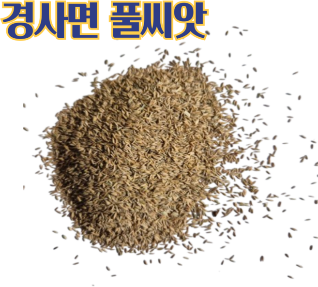 혼합 양잔디씨앗3종2kg 경사지풀씨 법면녹화, 1개