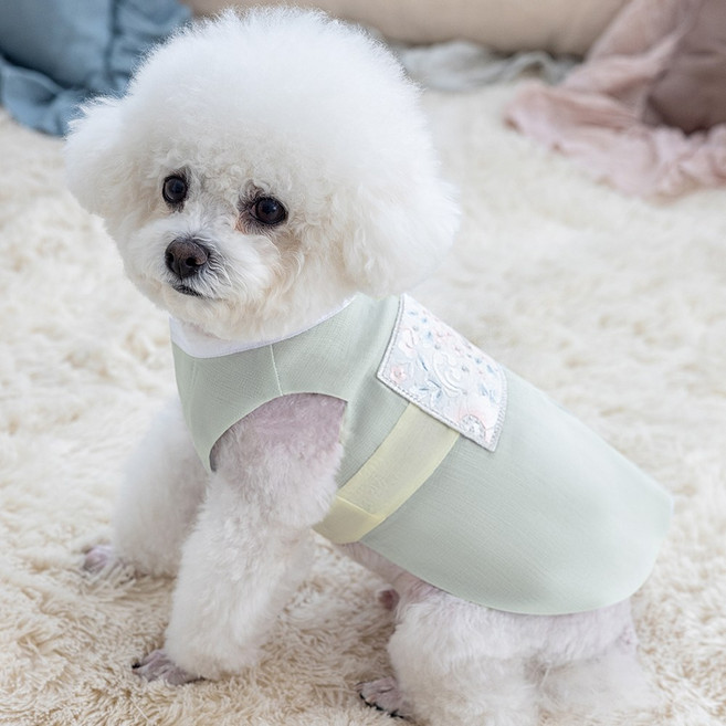 금동이 펫 GM006 연연두사각꽃패치 강아지 고양이 애견 한복, 2XL(XXL), 1개