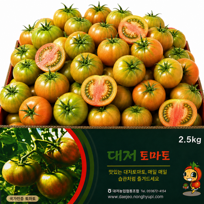 [마지막판매] 초고당도 짭짤이 대저토마토, 1개, 2.5kg (S-2S)