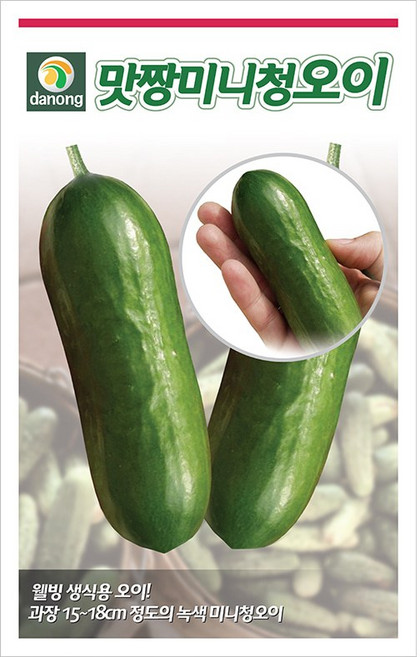 산들마켓 맛짱미니청오이 씨앗 10립 미니 오이씨 종자, 5개