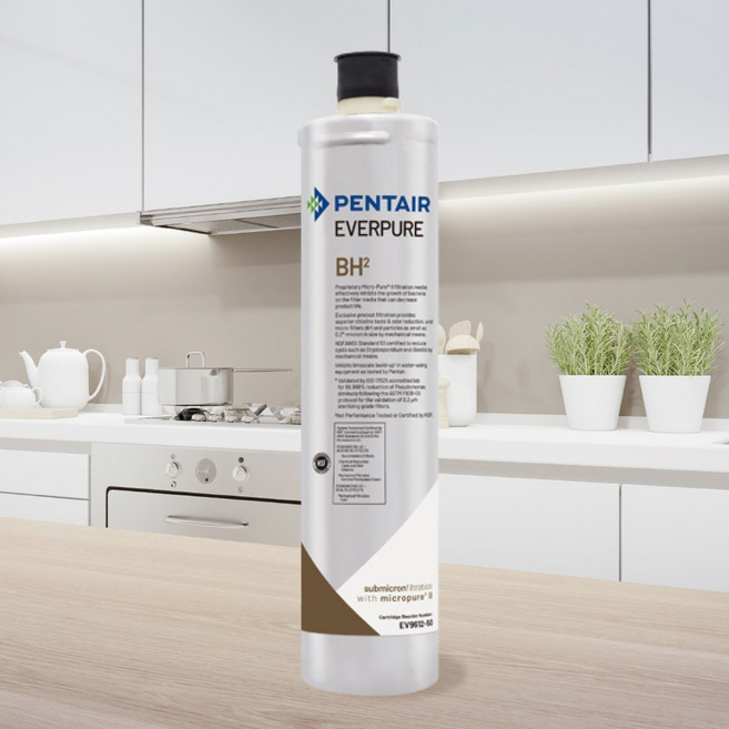 EVERPURE BH2 濾心, 1個, 平行輸入-單支