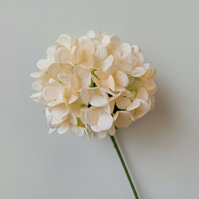 인조 조화 수국 1송이, 샴페인, 1개