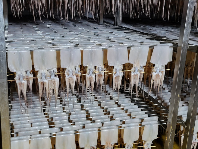 야들야들 쫄깃한 해풍에 말린 반건조 오징어 피데기 원양산 국내가공, 4개, 450g 내외5미