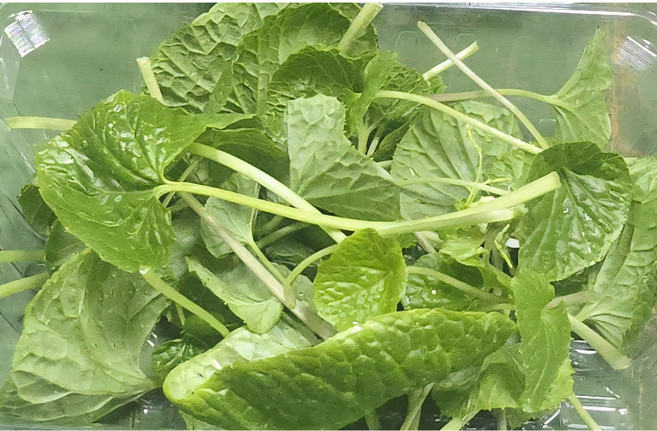 남도생와사비(와사비어린잎200g), 200g, 1개