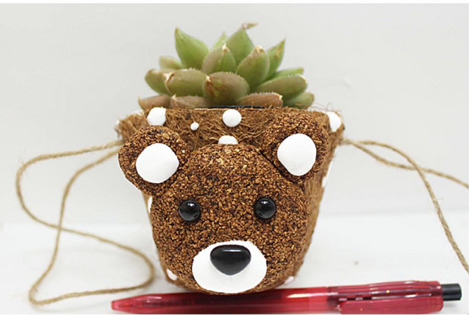 콜크클레이 곰얼굴 다육이 식물 행잉 코코넛화분 키트 5인 특별한 집중력향상 미술놀이 DIY, 곰돌이 코코넛 화분-생다육이
