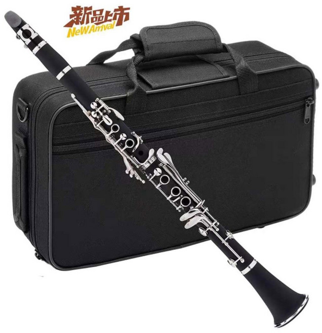 클라리넷 배우기 입문용 크램폰 소재 부페 독일악기샵 R13 악기 우드 dige, 1개