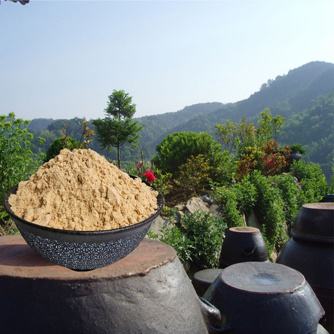 국산 콩 100% 청국장가루 지리산산골 청정지역 황토방 자연발효 전통 청국장분말, 3개, 500g