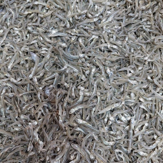 澎湖生小魚干 杏仁丁香花生丁香, 1個, 生2-3號小魚干600g