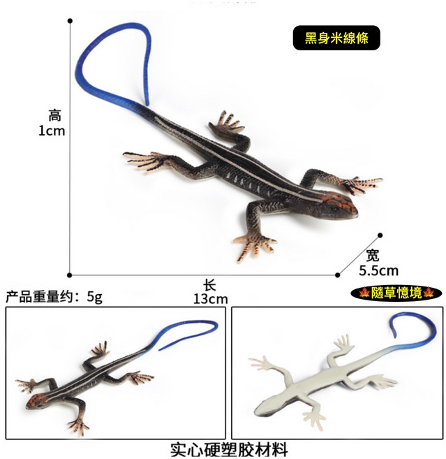 SPG 隨草憶境 （高品質畫工）蜥蜴模型套裝 逼真爬行動物公仔 野生動物模型收藏, 1個, 藍尾草蜥蜴（黑身米線條）