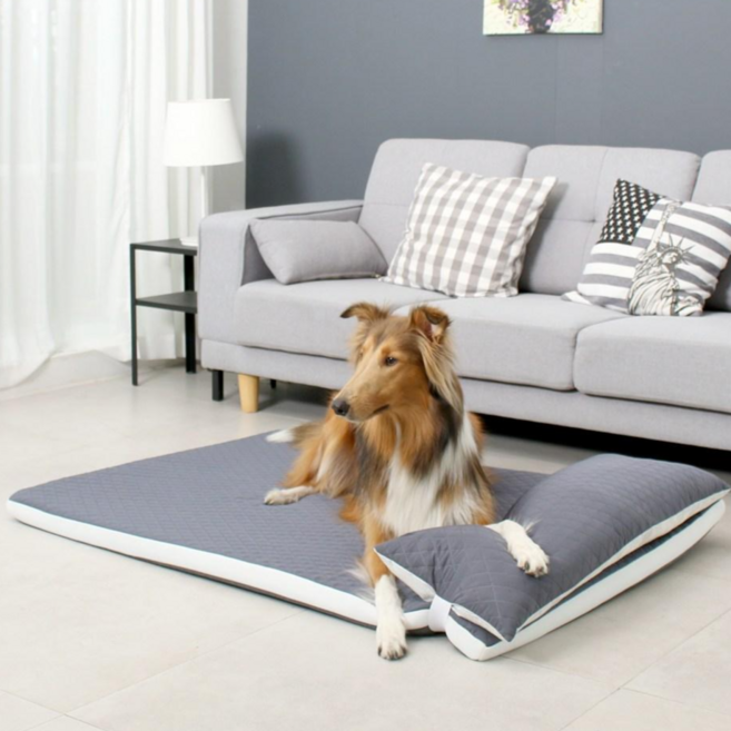 초코펫 중형견 대형견 쿨매트 방석 사이언스 매트리스 2.0, 3.알러지프리(그레이), 1개
