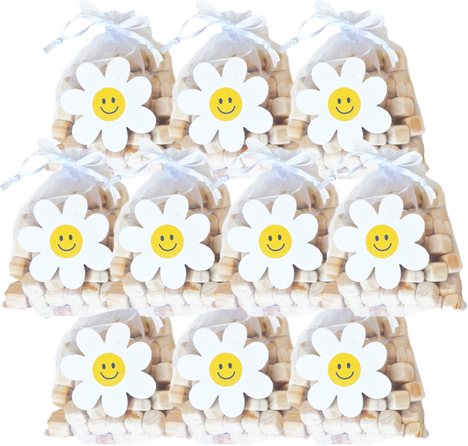 국내산 편백나무 큐브칩 편백주머니, 50g, 10개