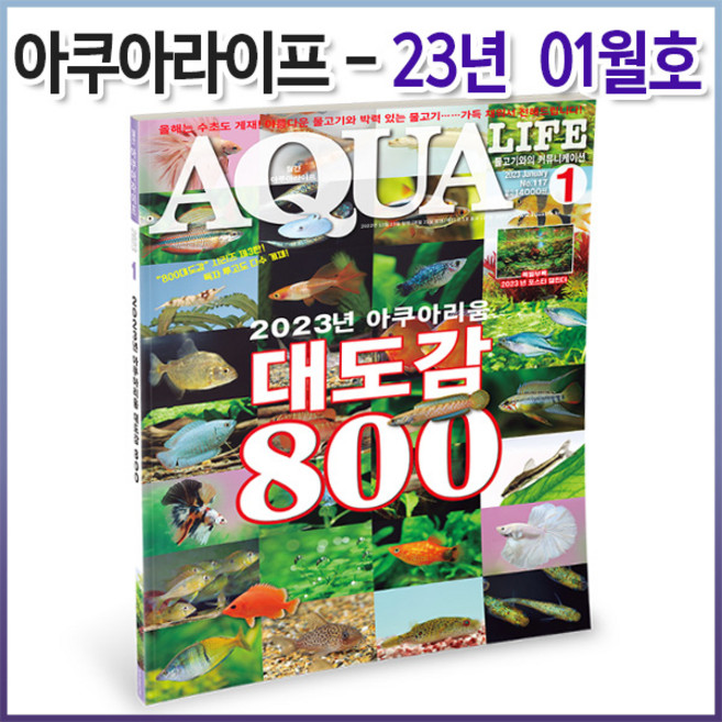 아쿠아라이프 2023년 1월호