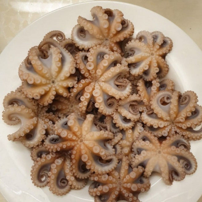 (하루30박스한정)국내산서해안당일조업현지직송 자연산최상품 특등급싱싱 야들 탱글쫄깃한 서해안 알배기 생물쭈꾸미4.5월한정판매, 1박스, 5kg