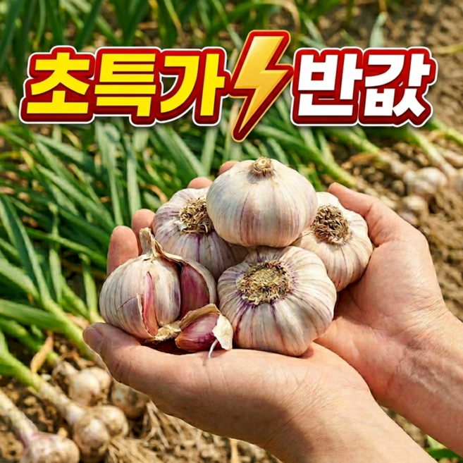 [정석마켓] 대알 선별 제철 장아찌용 햇마늘 속껍질이 연한 남도 통마늘, 1개, 10kg