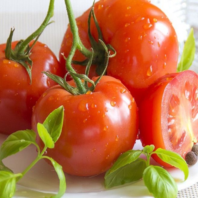 달달과수원 탱글탱글 정품 찰토마토 특품 한박스, 10kg, 1박스