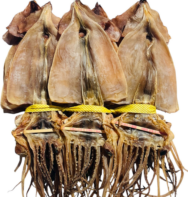 [수성수산] 동해안 건조오징어 마른 오징어 1kg (20미), 1.0kg, 1개