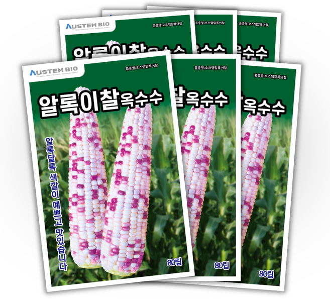 [주주씨앗] 알록이찰옥수수 씨앗 80립 얼룩찰옥수수 씨앗 다수확 통큰 옥수수, 6개