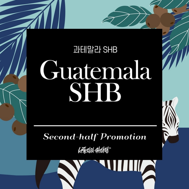 [서동진의 커피랩] 과테말라 SHB 150g, 1개