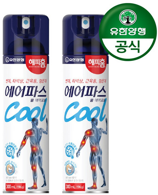 해피홈 에어파스 쿨 에어로솔 300ml, 1개입, 2개