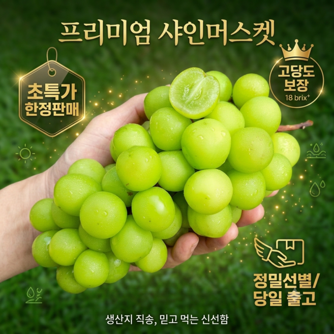 [16 ~ 20 Brix 고당도] [특품/가정용] 샤인머스켓 1kg 2kg 4kg, 1개