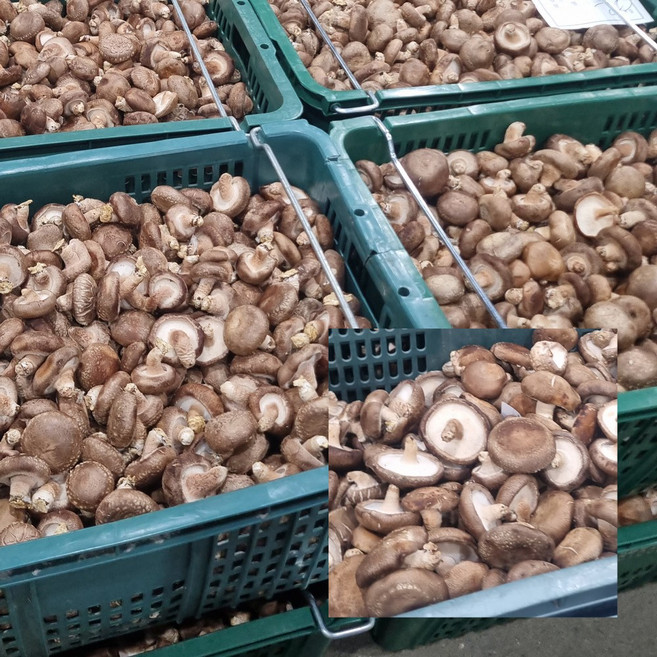 생 표고버섯 가정용 표고 못난이 파지 업소용, 1박스, 1kg