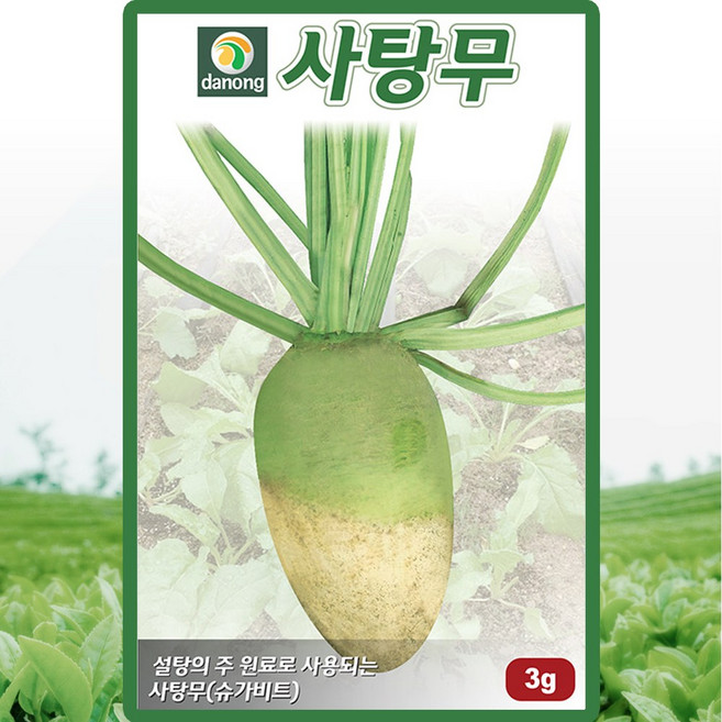 다농 사탕무 씨앗 3g 슈가비트 사탕무씨 종자, 1개