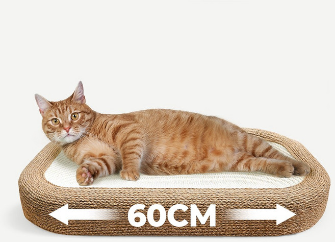 펫쭈 고양이 스크래쳐 특대형 사이잘 소파 반영구 2세대, 브라운, 1개