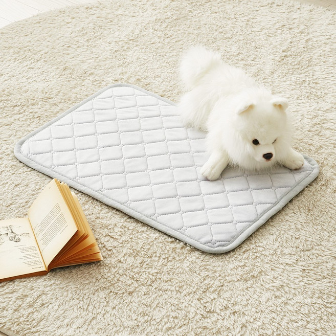 [26년형 두께UP] 한일좋은자리 전자파없는 프리미엄 양면극세사 강아지 고양이 탄소 전기 온열 방석, 중형(40X60cm), 차콜그레이