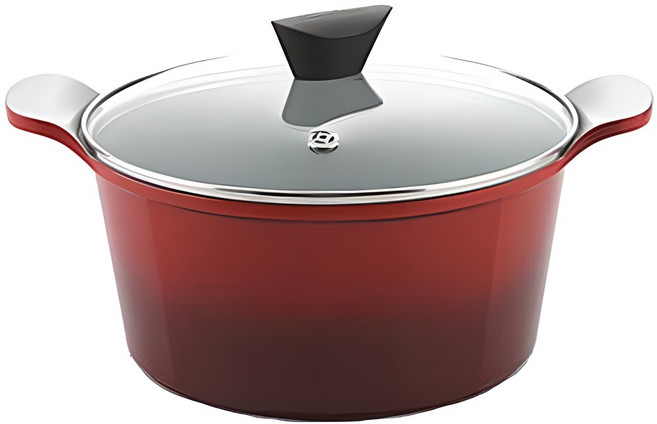 네오플램 에콜론냄비 벤 24양수, 24cm, 레드투톤, 1개