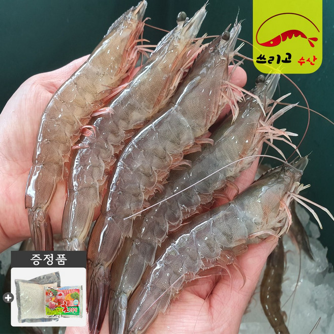 26년 국내산 활새우500g 1kg 당일조업 흰다리 생새우 대하 shrimp [쓰리고수산], 1개, 26년 국내산 선두급 활새우 1kg(30~35미)
