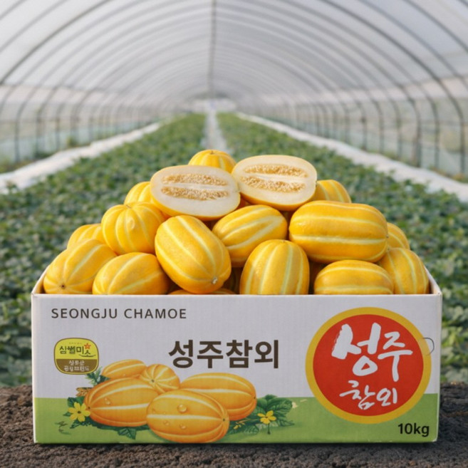 [한정특가] 농가직송 아삭달콤 꿀brix 성주참외, 1박스, 5kg