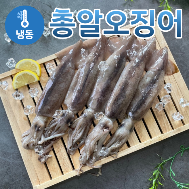 토해원 급냉 고단백 한입 총알 한입 통찜용 오징어, 1개, 2kg